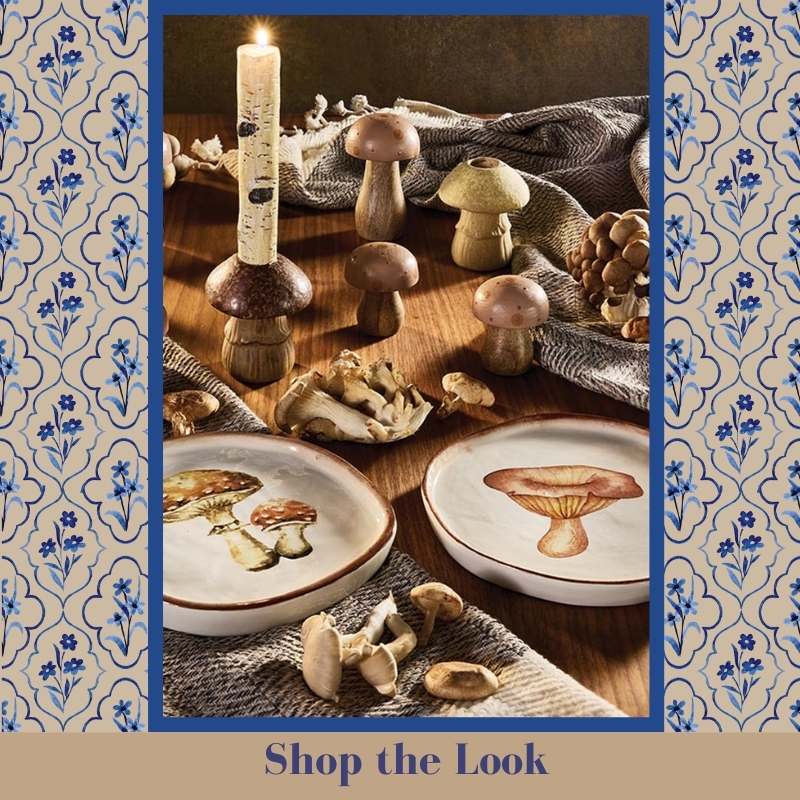 Shop Warm Earth